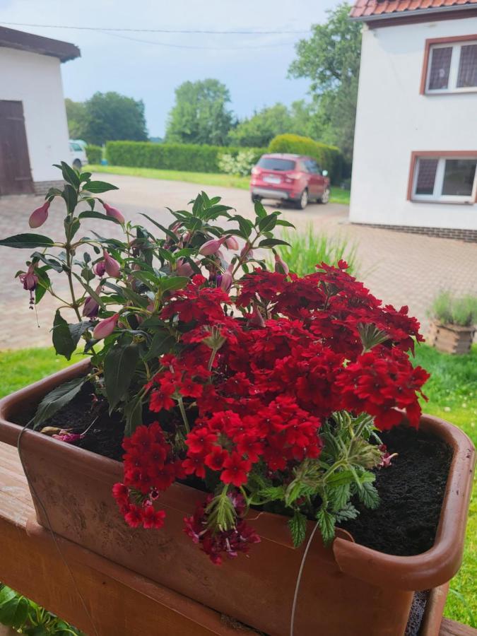 Agroturystyka Nad Strumykiem Leśna Εξωτερικό φωτογραφία