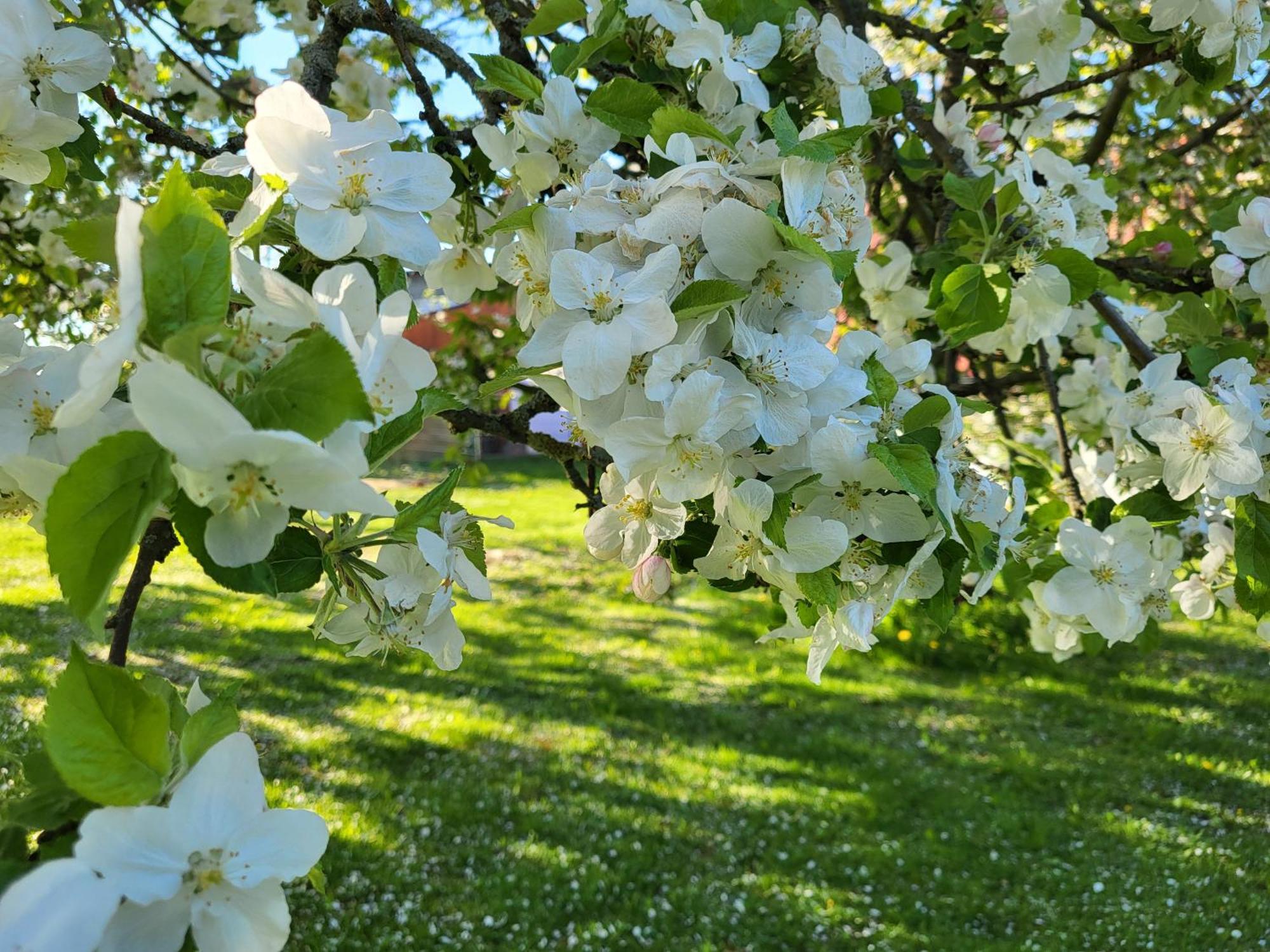 Agroturystyka Nad Strumykiem Leśna Εξωτερικό φωτογραφία