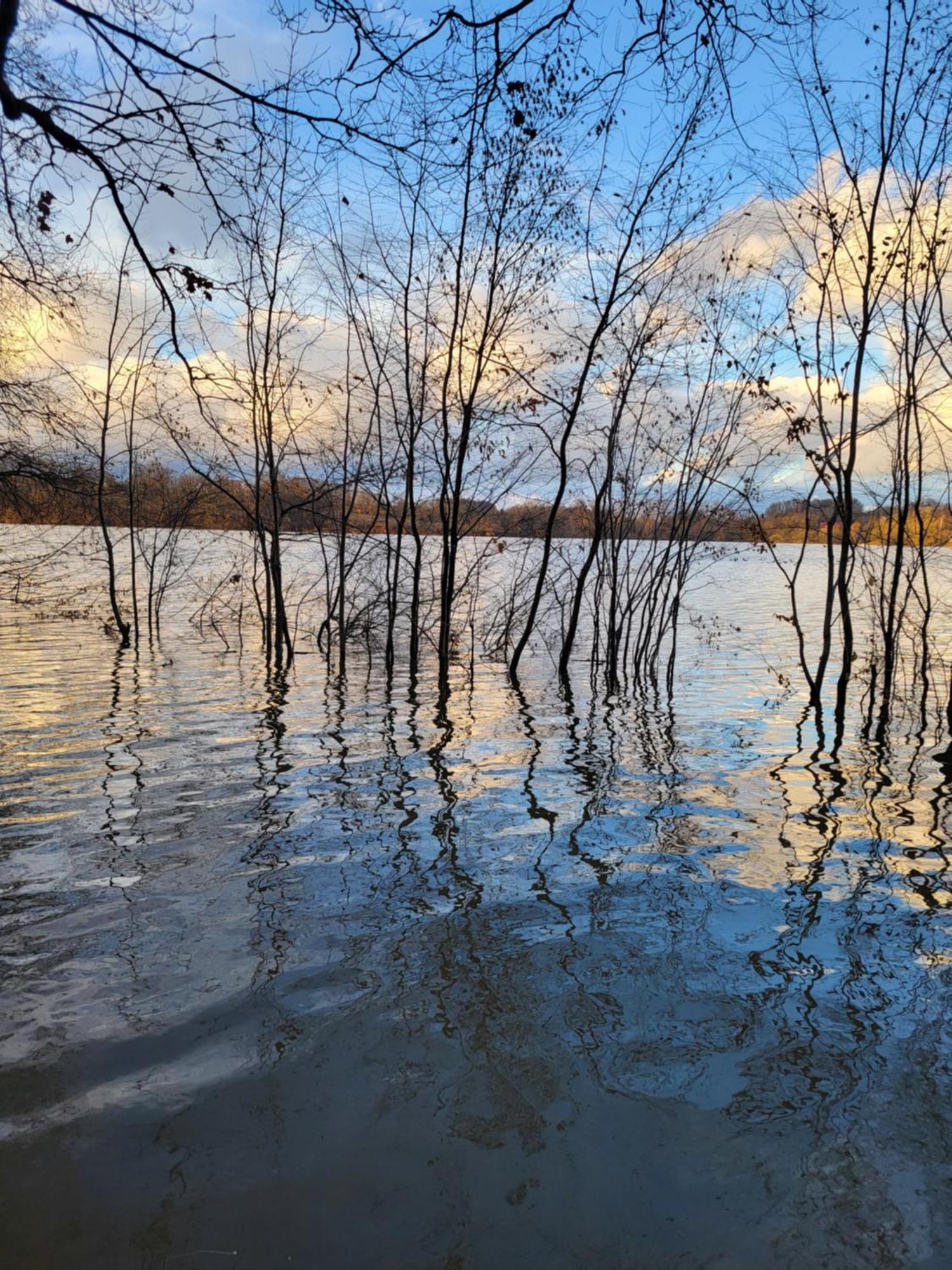 Agroturystyka Nad Strumykiem Leśna Εξωτερικό φωτογραφία