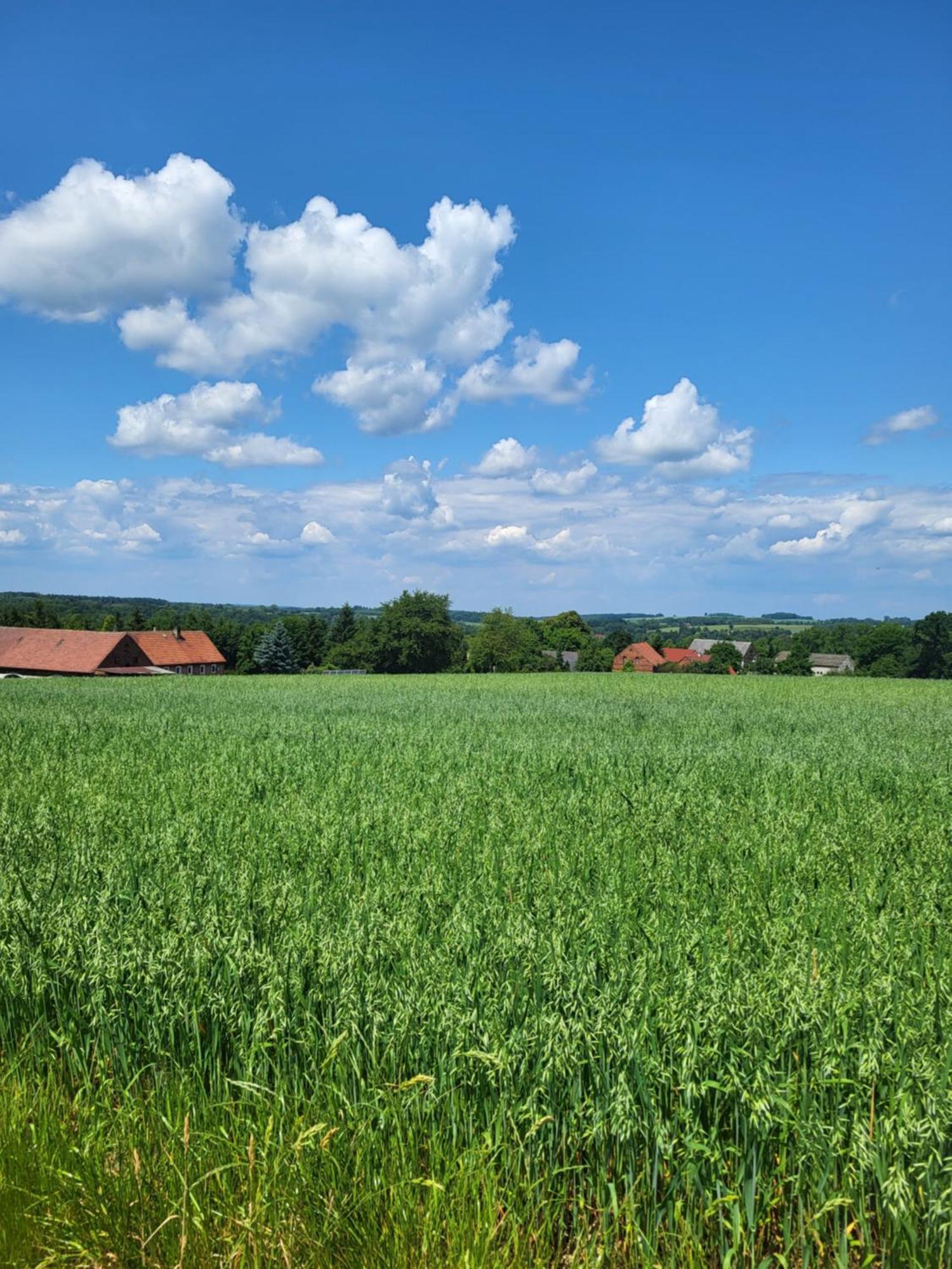 Agroturystyka Nad Strumykiem Leśna Εξωτερικό φωτογραφία