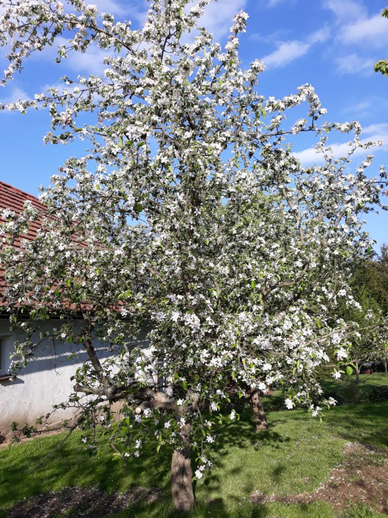 Agroturystyka Nad Strumykiem Leśna Εξωτερικό φωτογραφία